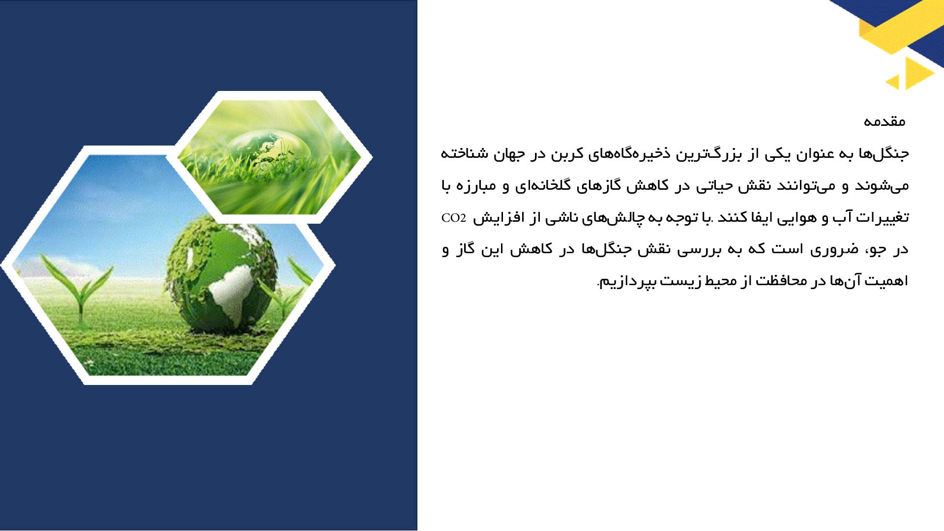 پاورپوینت در مورد نقش جنگل‌ها در کاهش CO2